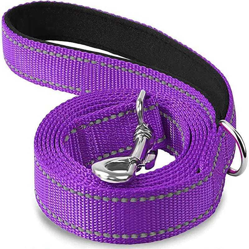 Correa para Perro Reflectante con Cinta de Seguridad para Paseo y Entrenamiento
