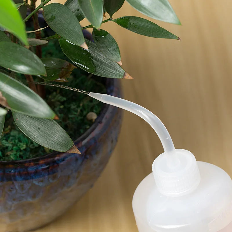 Regadera de Pico Fino para Plantas y Suculentas