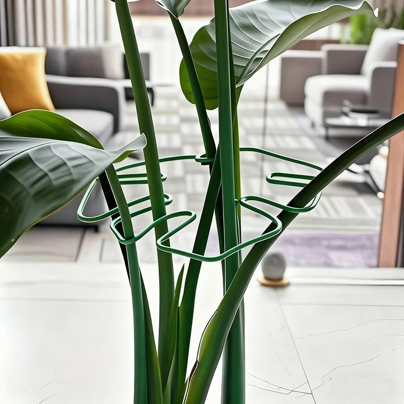 Soporte Metálico para Monstera y Plantas Trepadoras de Interior