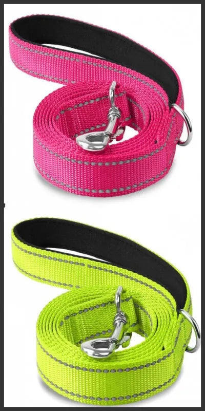 Correa para Perro Reflectante con Cinta de Seguridad para Paseo y Entrenamiento