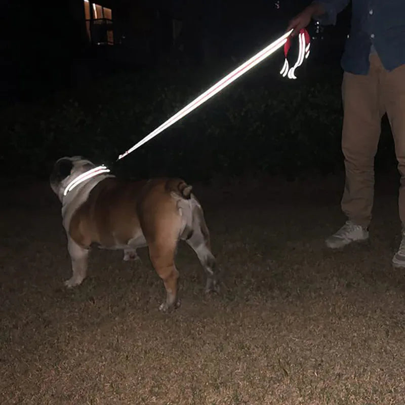 Correa para Perro Reflectante con Cinta de Seguridad para Paseo y Entrenamiento