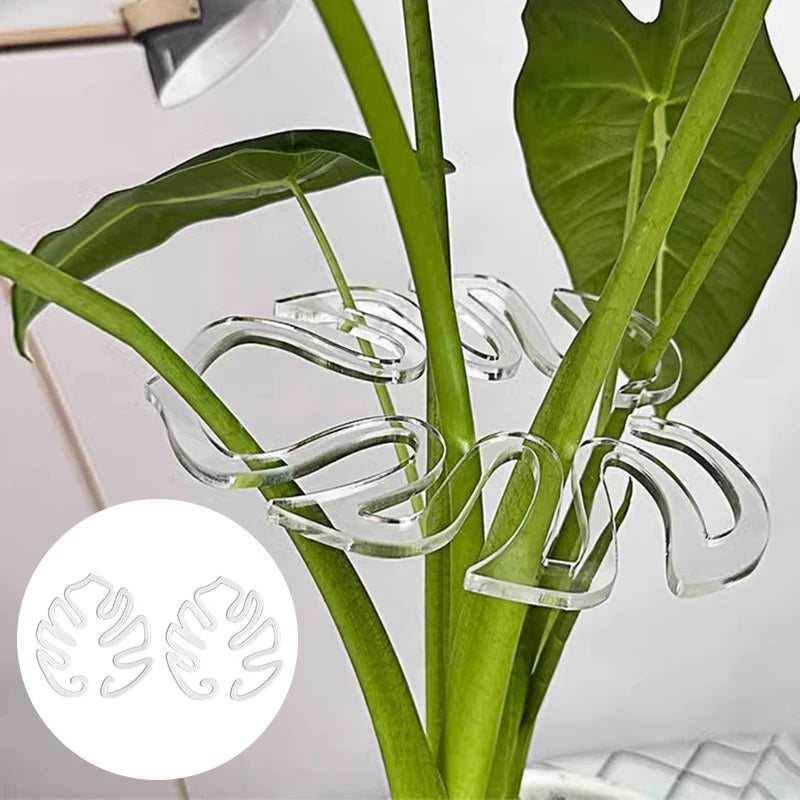 Soporte para Plantas Forma de Hoja Monstera