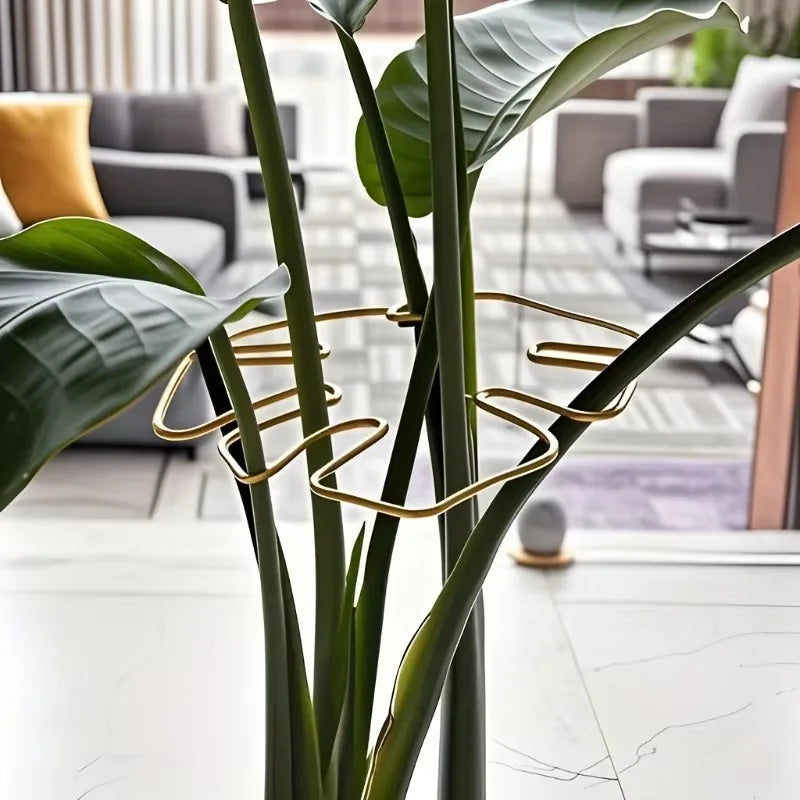 Soporte Metálico para Monstera y Plantas Trepadoras de Interior