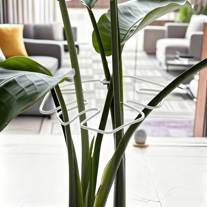 Soporte Metálico para Monstera y Plantas Trepadoras de Interior