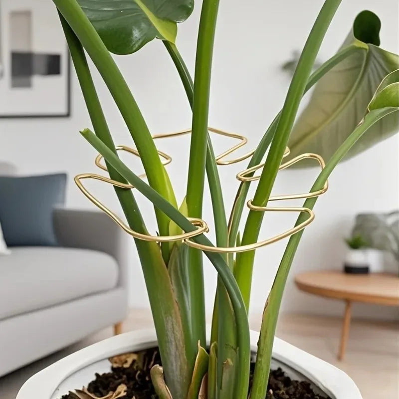 Soporte Metálico para Monstera y Plantas Trepadoras de Interior